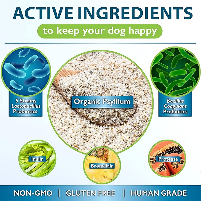 Psyllium for Dogs Complex to Promote Your Pet's Gut Health, Stimulate Healthy Digestion, Support Normal Bowel Function, with Psyllium + Inulin, Bromelain & Protease, 90 Soft Chews