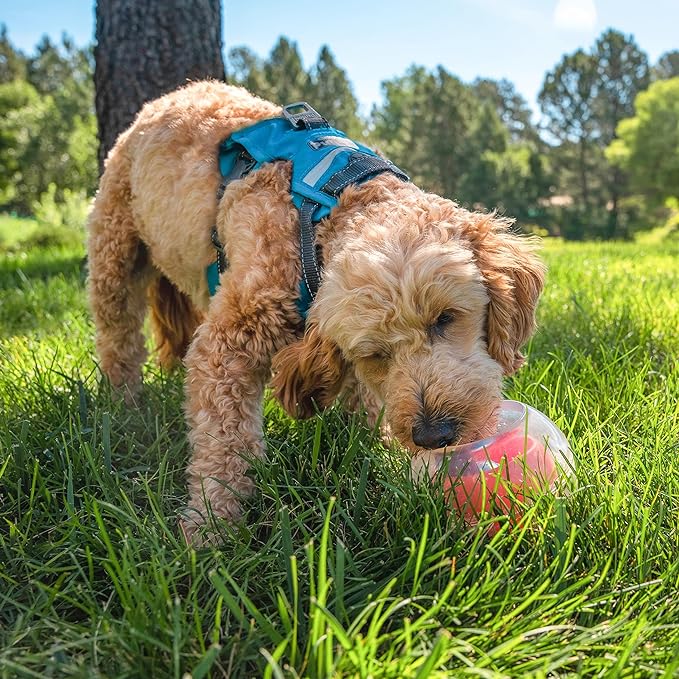 Outward Hound Nina Ottosson Topsy Treat Ball Dog Puzzle Interactive Treat Puzzle Dog Enrichment Dog Toy, Level 1 Beginner, Orange