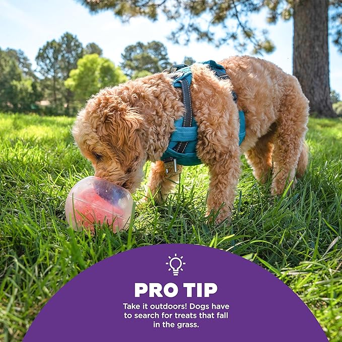 Outward Hound Nina Ottosson Topsy Treat Ball Dog Puzzle Interactive Treat Puzzle Dog Enrichment Dog Toy, Level 1 Beginner, Orange