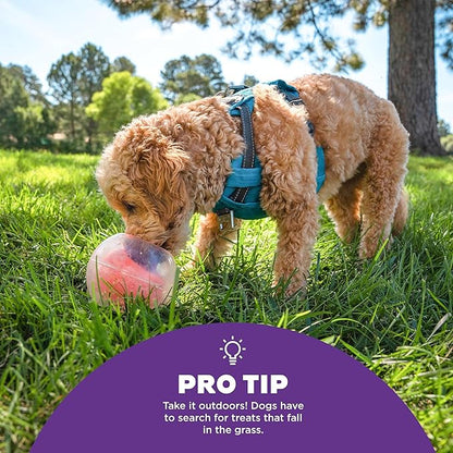 Outward Hound Nina Ottosson Topsy Treat Ball Dog Puzzle Interactive Treat Puzzle Dog Enrichment Dog Toy, Level 1 Beginner, Orange