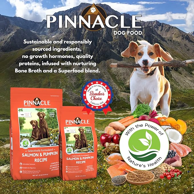 pinnacle pet Salmon & Pumpkin Dry Dog Food 4 lb, Infused with Broth