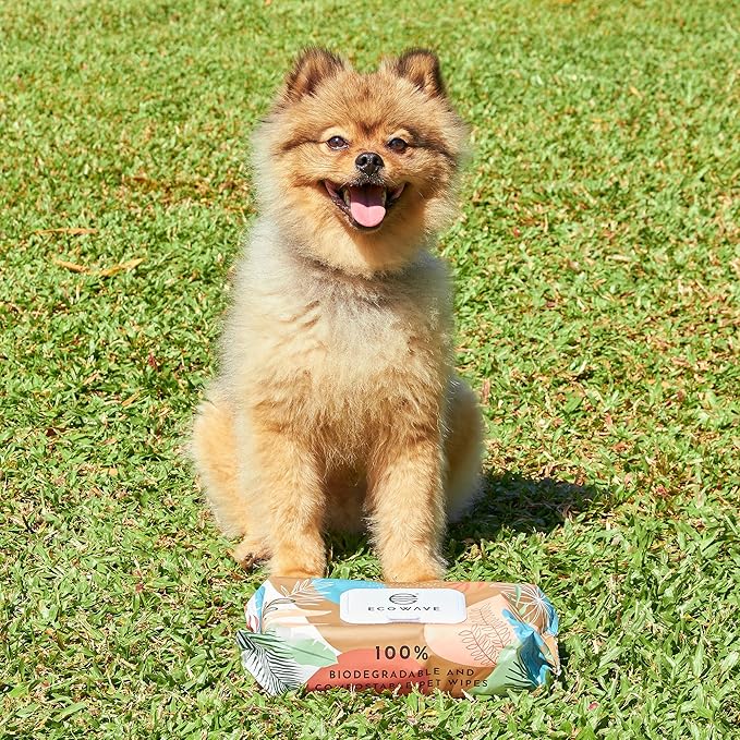 Pet Wipes, 100% Compostable Dog & Cat Grooming and Cleansing Wipes, 100 Wipes