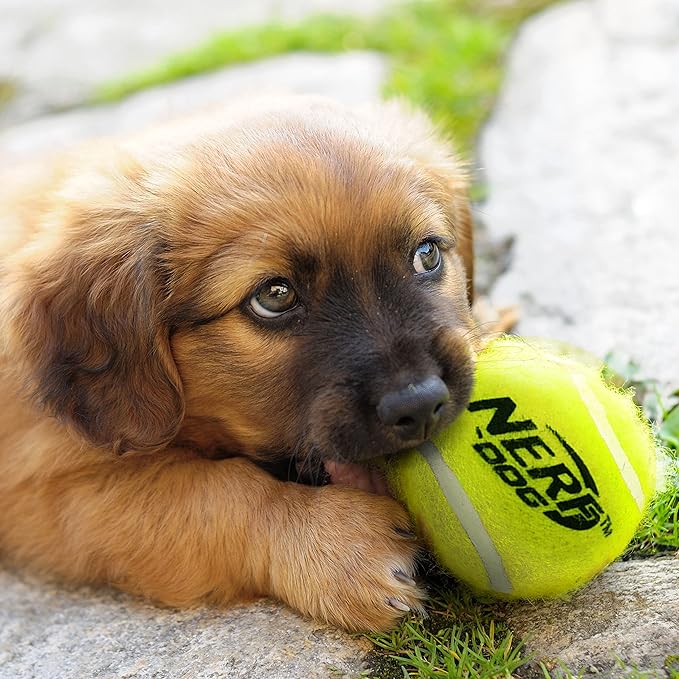 Nerf Dog Large Size Tennis Ball Blaster Dog Toy, Great for Fetch, Hands-Free Reload, Launches up to 50 ft, Single Unit, 20in Blaster with 3 Balls in Mesh Bag, Blue/Orange, Blue, Green and Orange