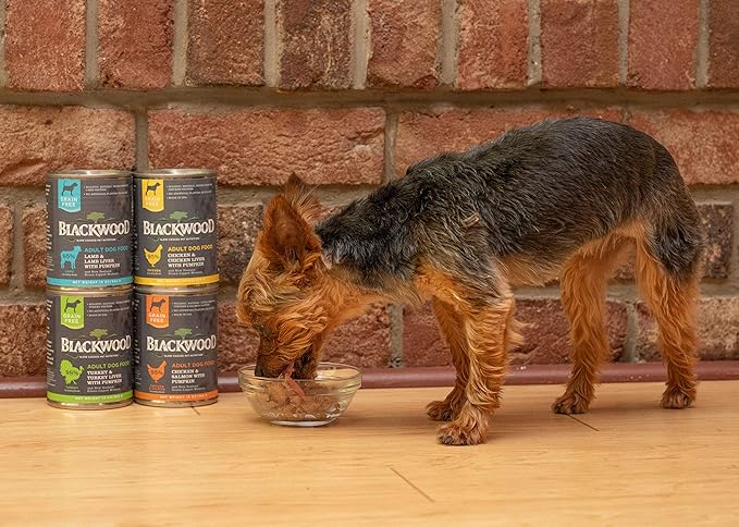 Blackwood Pet Food Blackwood Pet Grain Free Wet Dog Food Made in USA [All Natural Canned Dog Food], Turkey & Turkey Liver with Pumpkin, 13 oz. can, Pack of 12