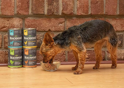 Blackwood Pet Food Blackwood Pet Grain Free Wet Dog Food Made in USA [All Natural Canned Dog Food], Turkey & Turkey Liver with Pumpkin, 13 oz. can, Pack of 12