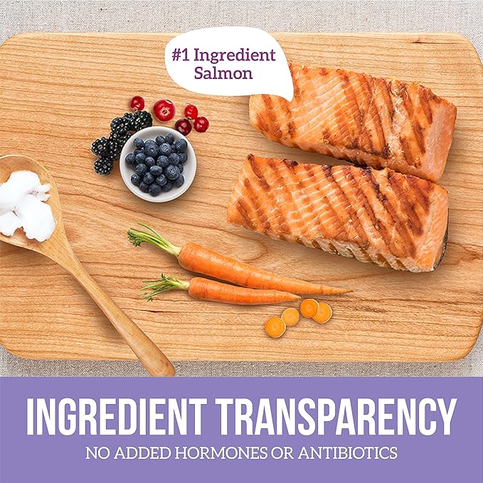 Health Extension Dog Food, Northern Catch Salmon Recipe - 12.5 oz, Grain Free, Added Vitamins and Minerals, for All Life Stages, Vet Formulated, Improve Gut Health, Immune Support (Case of 12 Cans)