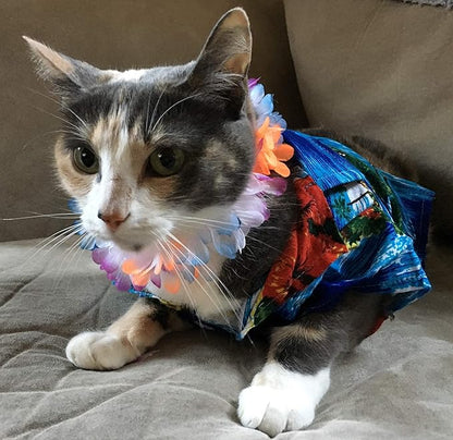 Rubie's Luau Pet Costume, Large, Blue