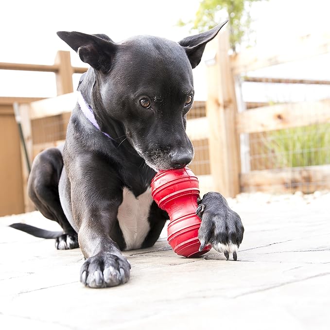 KONG Dental Dog Toy - for Dog Dental Care - Stuffable Chew Toy - Provides Chewing Outlet & Satisfies Instinctual Needs - Cleans Teeth & Gums - Made with Durable Natural Rubber - for X-Large Dogs