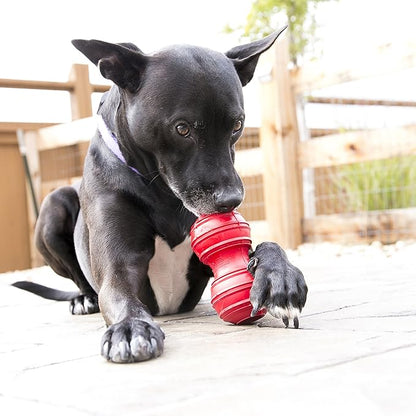 KONG Dental Dog Toy - for Dog Dental Care - Stuffable Chew Toy - Provides Chewing Outlet & Satisfies Instinctual Needs - Cleans Teeth & Gums - Made with Durable Natural Rubber - for X-Large Dogs