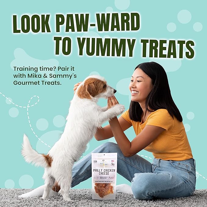 Gourmet Jerky Dog Treats - Natural Dog Treat Chicken Jerky for Dogs, Nutritious and Tasty Dog Jerky Treats Made in USA only, Cage-Free Chicken, No Additives (Mika & Sammy's Chicken Cheese 12 oz)