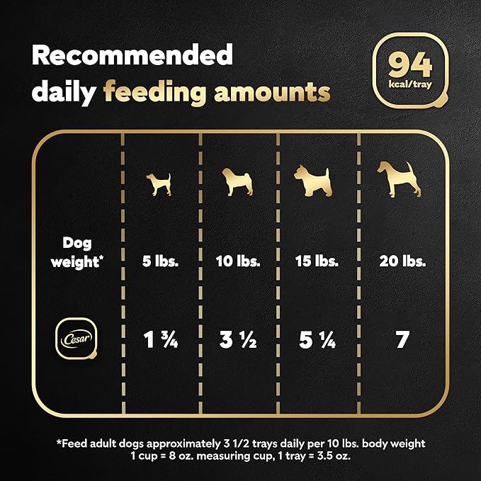 CESAR Filets in Gravy Adult Wet Dog Food, Prime Rib Flavor, 3.5 oz. Easy Peel Trays, Pack of 24