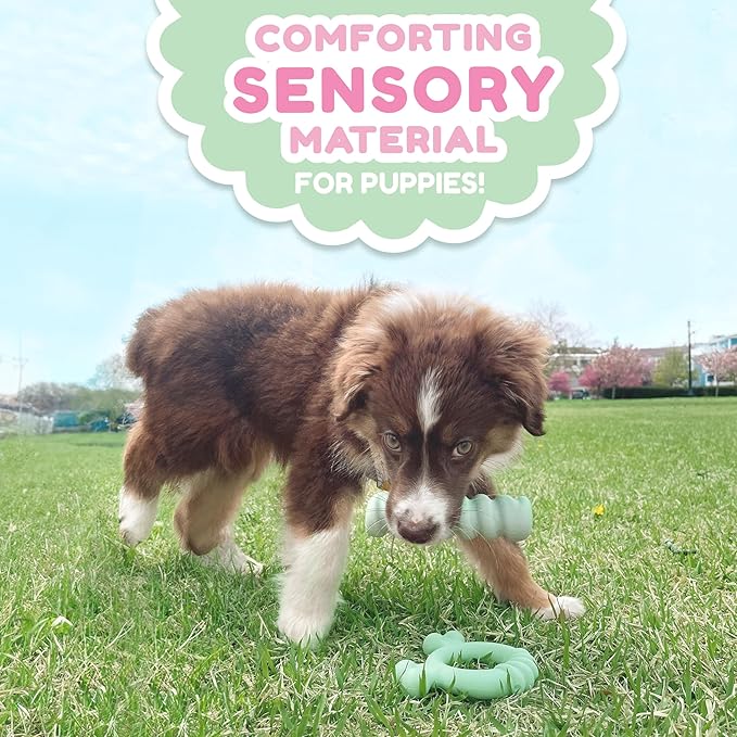 Nylabone Sensory Material Puppy Chew Toy Ring - Puppy Teething Toy for Boredom & Stimulation - Puppy Supplies - Chicken Flavor, Small/Regular (1 Count)