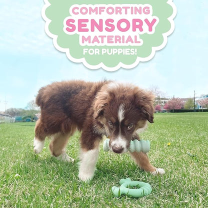 Nylabone Sensory Material Puppy Chew Toy Ring - Puppy Teething Toy for Boredom & Stimulation - Puppy Supplies - Chicken Flavor, Small/Regular (1 Count)