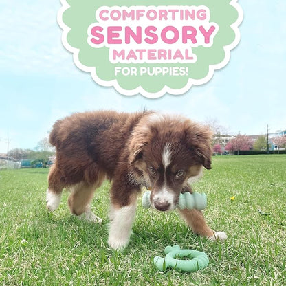 Nylabone Sensory Material Puppy Chew Toys Bundle - Puppy Teething Toys for Boredom & Stimulation - Puppy Supplies - Allergen-Free Peanut Butter and Chicken Flavor, Small/Regular (2 Count)