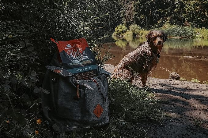 Stella & Chewy's Wild Red Dry Dog Food Raw Coated High Protein Grain & Legume Free Ocean Recipe, 3.5 lb. Bag