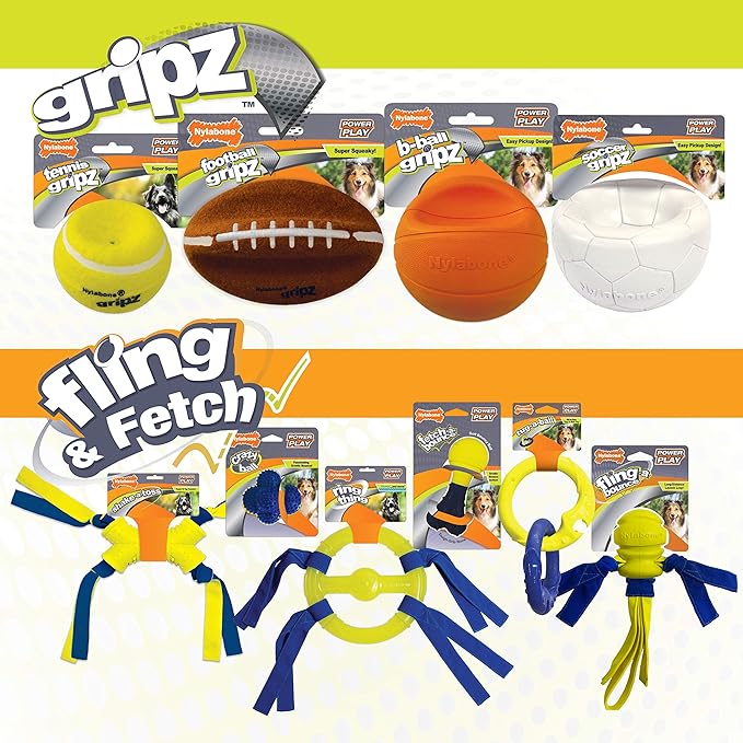 Nylabone POWER PLAY Interactive Fetch Toys for Dogs l Enrichment Dog Toys for the Ultimate Playtime Experience