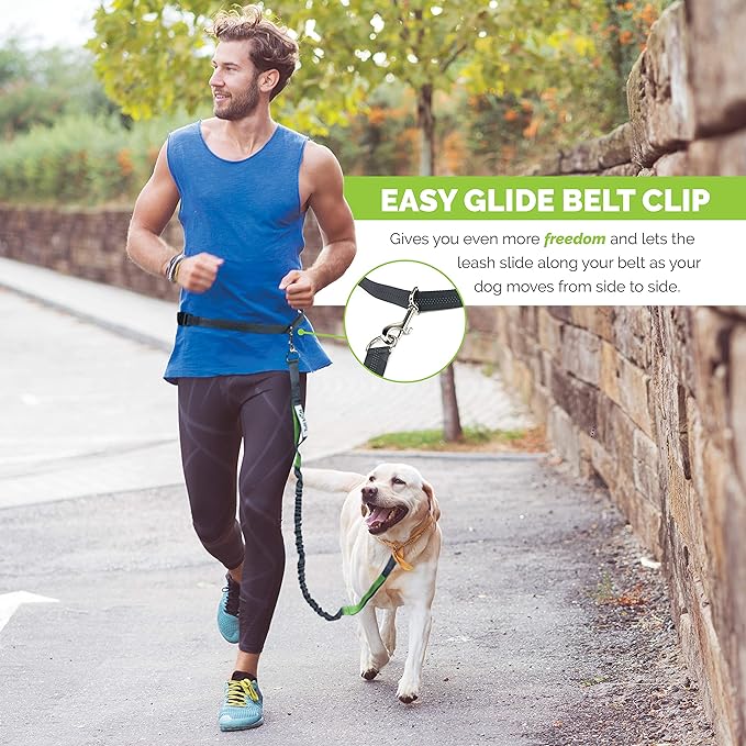 Hands Free Dog Leash for Running, Walking, Hiking, Durable Dual-Handle Bungee Leash is 4 Feet Long with Reflective Stitching, and an Adjustable Waist Belt That Fits up to 42 Inch Waist
