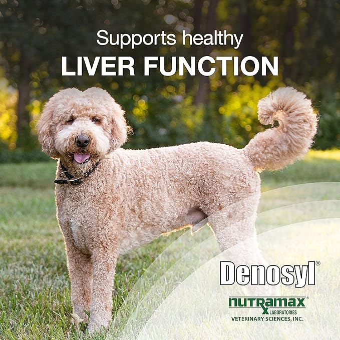 Nutramax Denosyl Liver and Brain Health Supplement for Large Dogs, With S-Adenosylmethionine (SAMe), 30 Tablets
