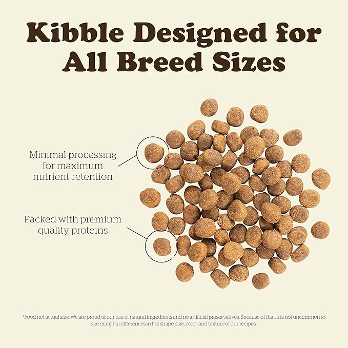 Now Fresh Grain Free Dog Food, 22 lb - Dry Dog Food Fish Recipe for Adult Dogs - Real De-Boned Fish for Protein - Healthy Diet for Small, Medium and Large Breed