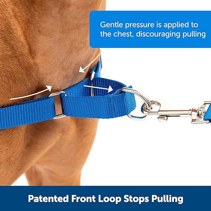 PetSafe Easy Walk No-Pull Dog Harness - The Ultimate Harness to Help Stop Pulling - Take Control & Teach Better Leash Manners - Helps Prevent Pets Pulling on Walks - Small, Black/Silver