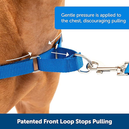 PetSafe Easy Walk No-Pull Dog Harness - The Ultimate Harness to Help Stop Pulling - Take Control & Teach Better Leash Manners - Helps Prevent Pets Pulling on Walks - Small, Black/Silver