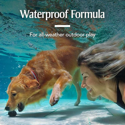 PetArmor for Dogs, Flea and Tick Treatment for Medium Dogs (23-44 Pounds), Includes 3 Month Supply of Topical Flea Treatments