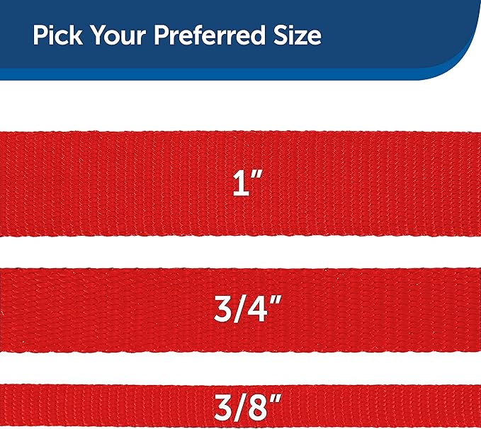 PetSafe Nylon Dog Leash - Strong, Durable, Traditional Style Leash with Easy to Use Bolt Snap - 3/4 in. x 6 ft., Red