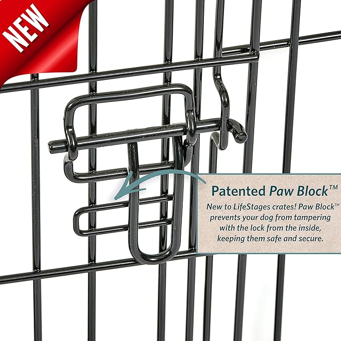 MidWest Homes for Pets XL Dog Crate | MidWest Life Stages Folding Metal Crate | Divider Panel, Floor Protecting Feet, Leak-Proof Pan | 48L x 30W x 33H Inches, XL Dog Breed