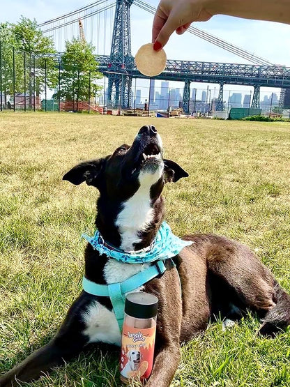 Jungle Calling Dog Treats, Chicken Chips Dog Treats, All Natural Chicken Chips for Dogs, Crunchy Chicken Jerky Dog Training Treats, Single Ingredient Dog Treats for Small, Medium & Large Dogs, 6 oz