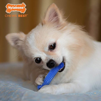 Nylabone Flexi Chew Moderate Dog Dental Chew Toy Bones Triple Pack, Peanut Butter & Bacon, X-Small/Petite (3 Count)