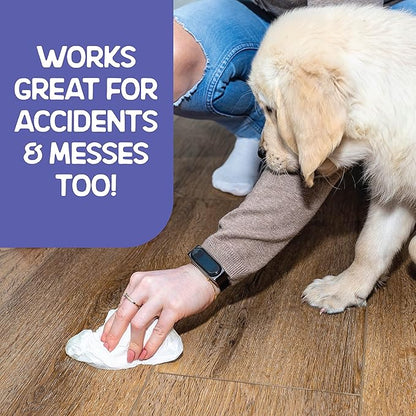 WETPET Wipes for Dogs, Lemon Scented, Grooming Wipes Remove Dirt & Grime, Deodorizing Easy to Use for Dogs & Puppies, Safe on Skin and Fur Single Pack