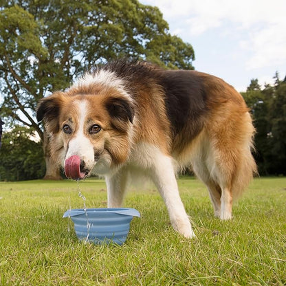 Kurgo Collaps-A-Bowl for Dogs, Collapsible Travel Dog Bowl, Pet Food & Hiking Water Bowl, Food Grade Bowl for Dogs, Travel Accessories for Pets, includes Carabiner (24 oz, Blue)