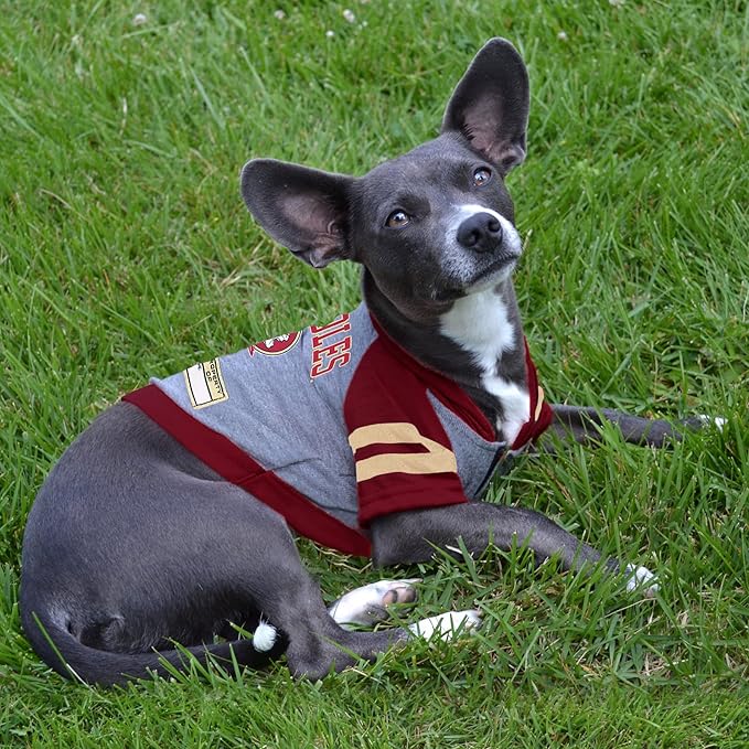 Pets First Hoodie for Dogs & Cats, Large. | Collegiate Licensed Dog Hoody Tee Shirt | Sports Hoody T-Shirt for Pets | College Sporty Dog Hoodie Shirt.