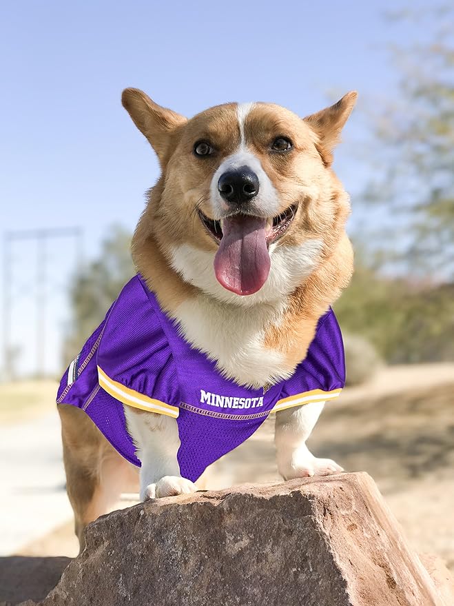 NFL Minnesota Vikings Dog Jersey, Size: Medium. Best Football Jersey Costume for Dogs & Cats. Licensed Jersey Shirt