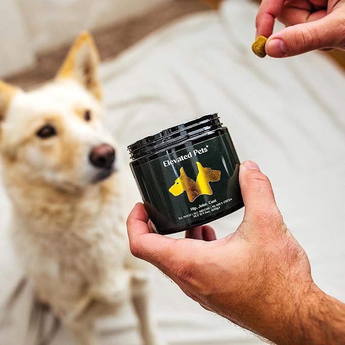 Ultra-Healthy Omega 3 Fish Oil Treats w/MSM, Glucosamine, Chondroitin, EPA/DHA for Dogs: Elevated Pets Fish Oil, Turmeric & Joint Supplement + Allergy Chews - Ultimate Dog Vitamin Supplement