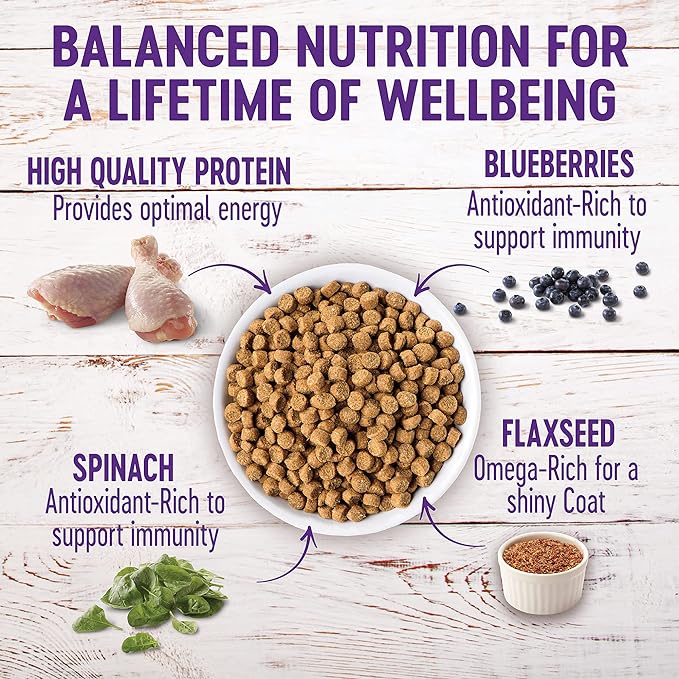 Wellness Complete Health Dry Puppy Food, Chicken, Salmon & Oatmeal, 15-Pound Bag