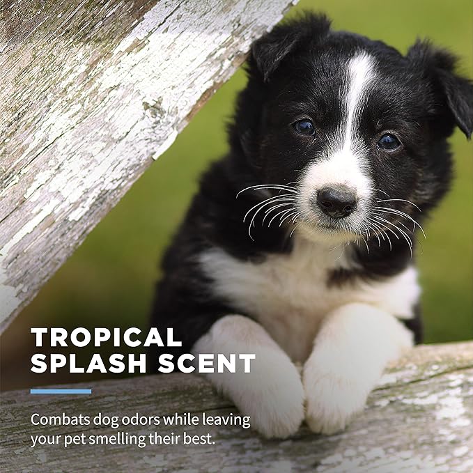 Wet Ones for Pets Delicate Clean Puppy Cleaning Wipes With Oatmeal | Mild & Soothing Puppy Grooming Wipes in Tropical Splash Scent, Wet Ones Wipes with Wet Lock Seal | 30 Ct Pouch Dog Wipes