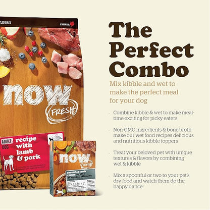 Now Fresh Wet Dog Food, 12.5 oz (12 Ct) - Grain Free Wet Dog Food - Shredded Lamb Recipe with Bone Broth Gravy - for Small, Medium and Large Breed Dogs
