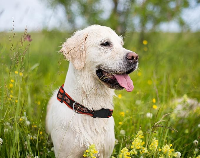 MLB San Francisco Giants Licensed PET COLLAR- Heavy-Duty, Strong, and Durable Dog Collar. Available in 29 Baseball Teams and 4 Sizes