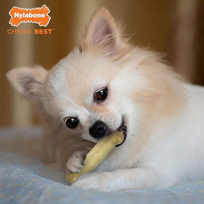 Nylabone FlexiChew Moderate Dog Toys Triple Pack Bacon, Peanut Butter & Beef X-Small/Petite (1 Count)