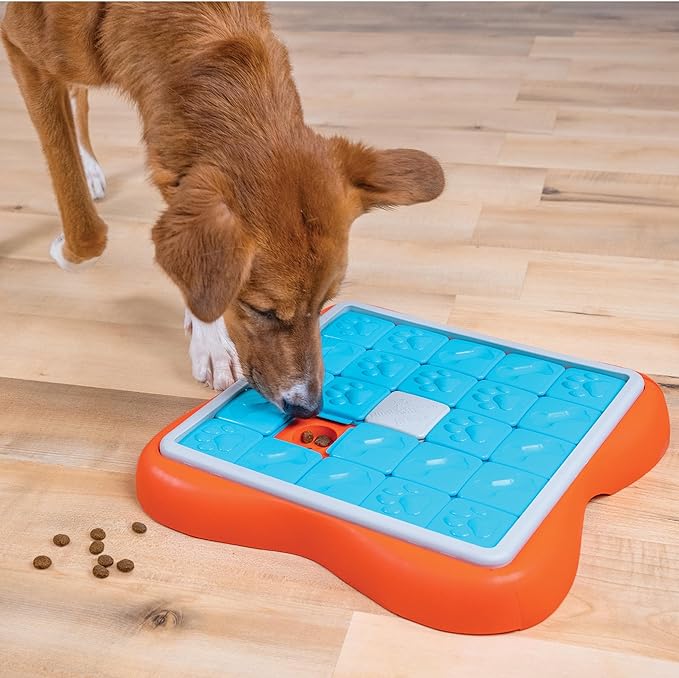 Outward Hound Nina Ottosson Challenge Slider Interactive Treat Puzzle Dog Enrichment Toy, Level 3 Advanced, Multicolored