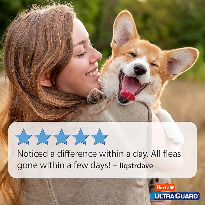 Hartz UltraGuard Flea And Tick Dog Spray, Kills And Repels Fleas And Ticks, 16 Ounce