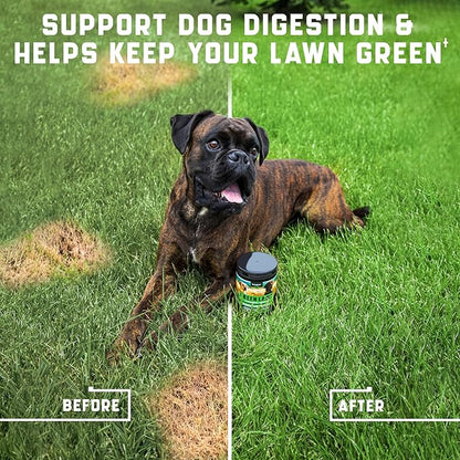 Green Lawn Chews for Dogs - Cranberry, ACV, Digestive Enzymes - Natural Dog Urine Neutralizer for Lawn - Supports Healthy Bladder, Urinary Tract (Duck - 180 Chews (Pack of 1))