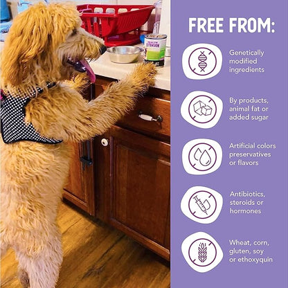 Health Extension Wet Dog Food, Gluten and Grain-Free, Healthy Natural Food Canned for Puppies, Chicken Recipe