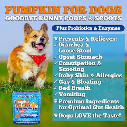 Pumpkin for Dogs - Pumpkin Puree, Canned Pumpkin (Alternative), Fiber for Dogs, Probiotic Powder, Pumpkin Powder, Dog Diarrhea, Digestive Support, Perfect for Firm Poops and No Scoots, 6 oz