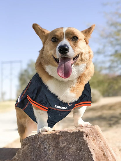 NFL Chicago Bears Dog Jersey, Size: Medium. Best Football Jersey Costume for Dogs & Cats. Licensed Jersey Shirt
