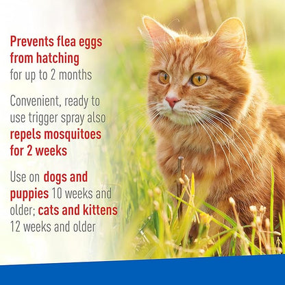 Adams Plus Flea & Tick Spray | Kills Adult Fleas, Flea Eggs, Flea Larvae, Ticks, and Repels Mosquitoes For Up To 2 Weeks | Controls Flea Reinfestation For Up To 2 Months | 32 Oz