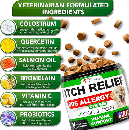 Vet Promise Dog Allergy Chews - Itch Relief for Dogs - Dog Allergy Relief - Anti Itch for Dogs - Dog Itchy Skin - Dog Allergy Support - Hot Spots - Immune Health Supplement - Made in USA - 120 Treats