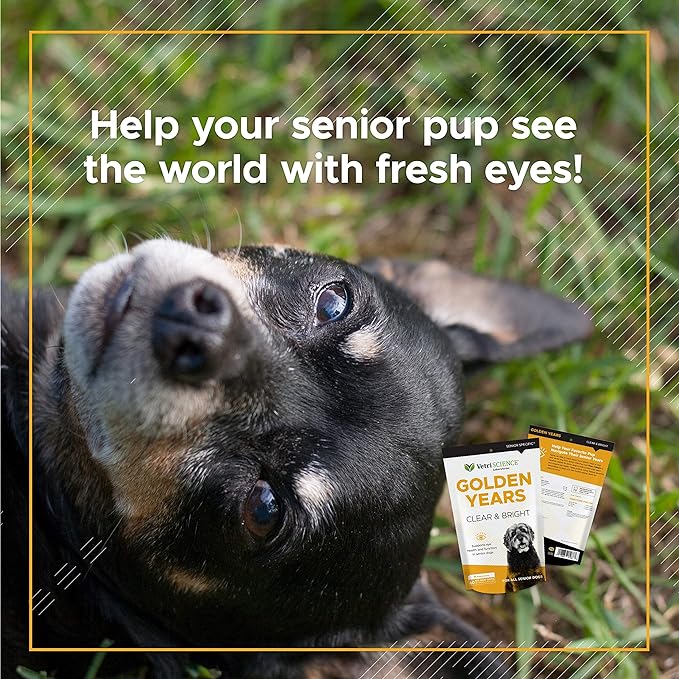 VetriScience Golden Years Clear and Bright Vision Support for Senior Dogs, Chicken Flavor, 60 Chews - Supports Cloudy and Teary Eyes and Ocular Blood Flow