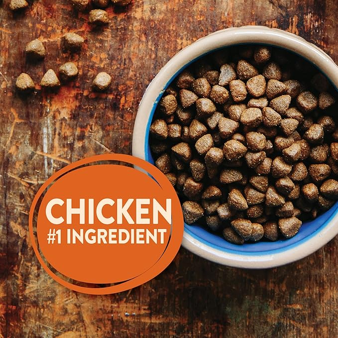 Wellness Natural Pet Food Wellness CORE Grain-Free High-Protein Large Breed Dry Dog Food, Natural Ingredients, Made in USA with Real Chicken (Puppy, 24-Pound Bag)